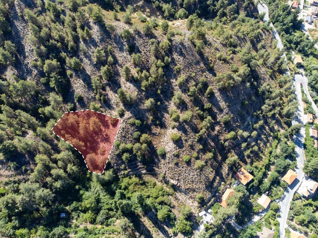 Field-Kakopetria-PR38561