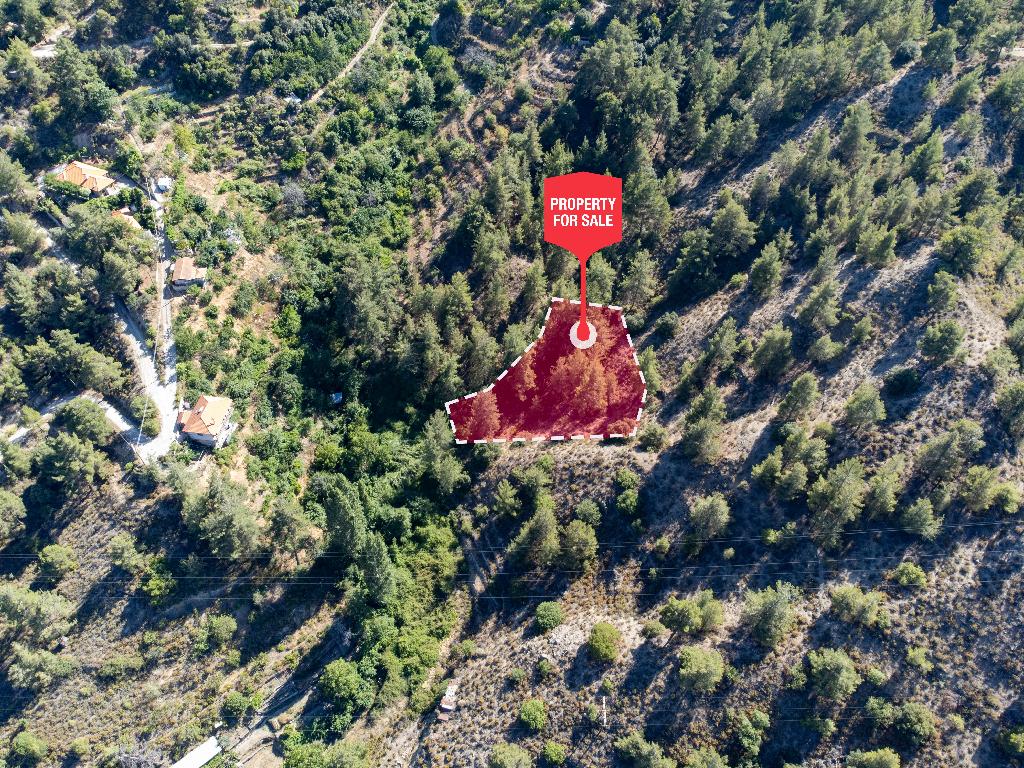 Field-Kakopetria-PR38561