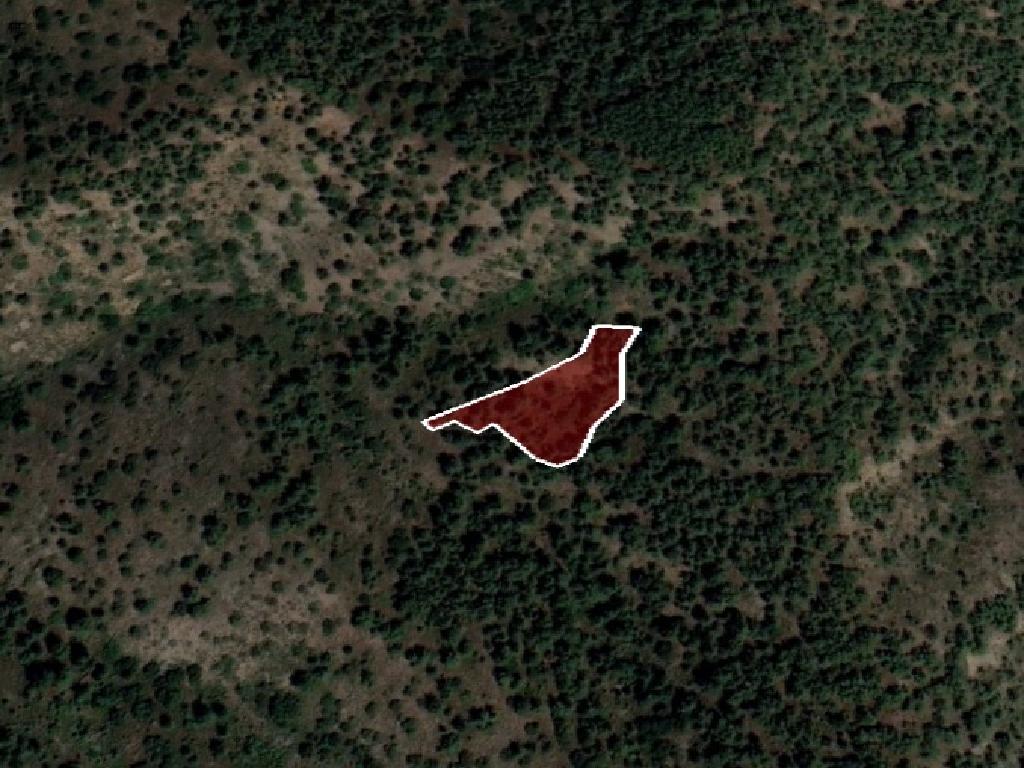 Field-Palaichori Orinis-PR39565