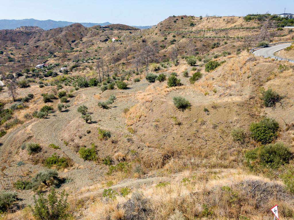 Field-Ora-PR39893
