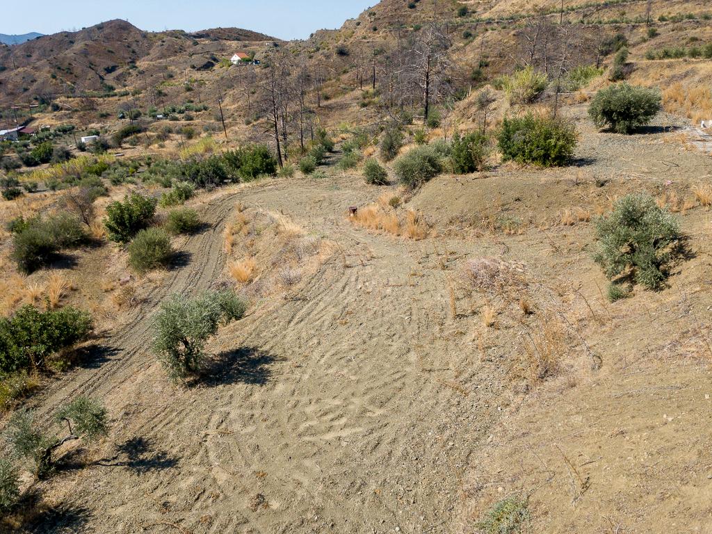 Field-Ora-PR39893