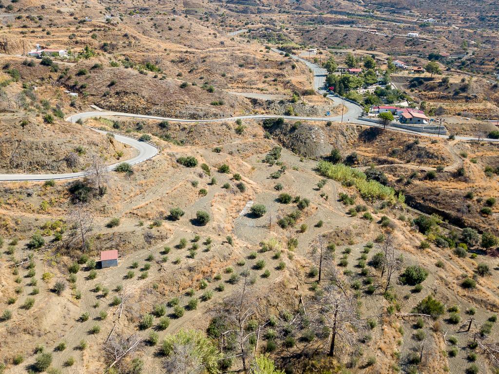 Field-Ora-PR39893