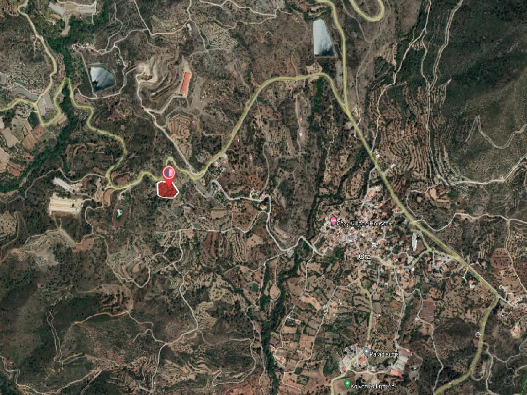 Field-Ora-PR39893