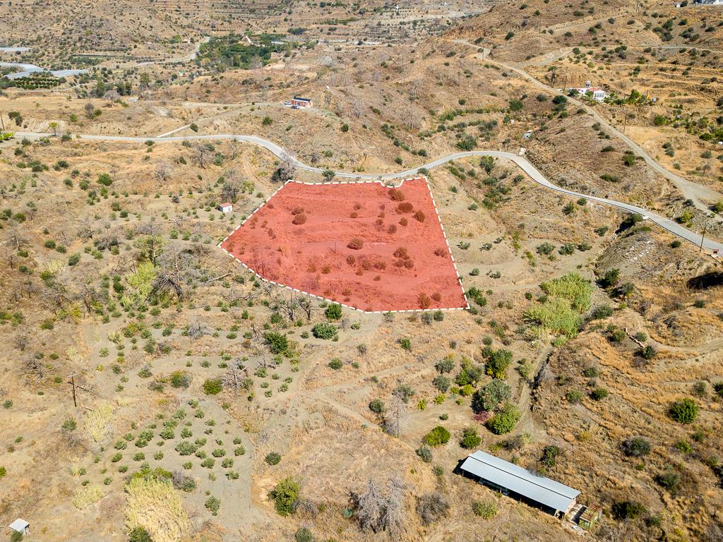 Field-Ora-PR39893