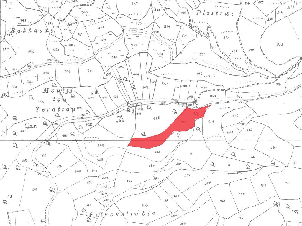 Field-Pachna-PR40215
