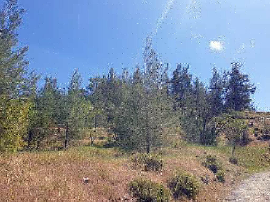 Field-Xsyliatos-PR40377