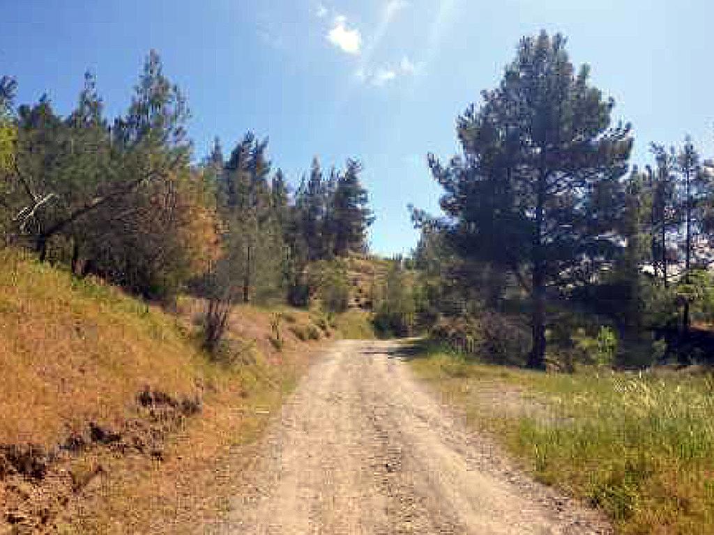 Field-Xsyliatos-PR40377