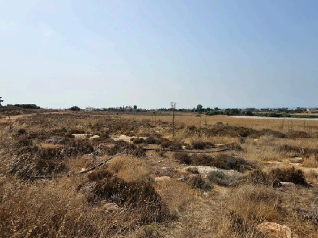 Field-Sotira-PR40826