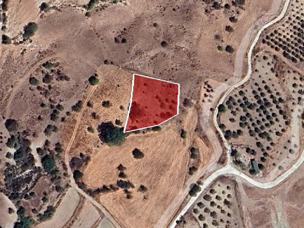 Field-Kritou Marottou-PR41183