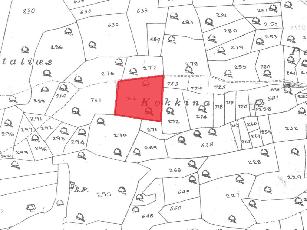 Field-Anogira-PR41431