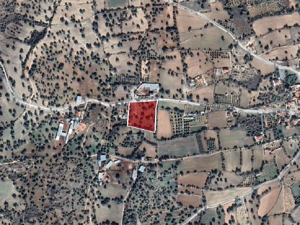 Field-Anogira-PR41431