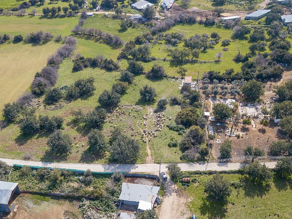 Field-Anogira-PR41431
