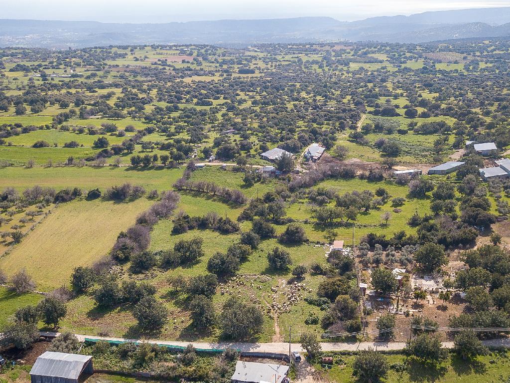 Field-Anogira-PR41431