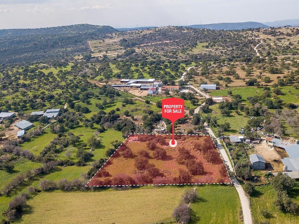 Field-Anogira-PR41431