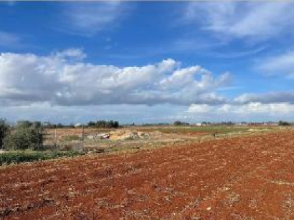 Field-Avgorou-PR41602