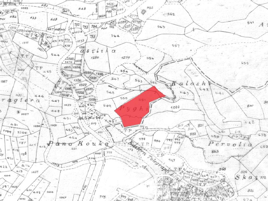 Field-Pera Pedi-PR41708
