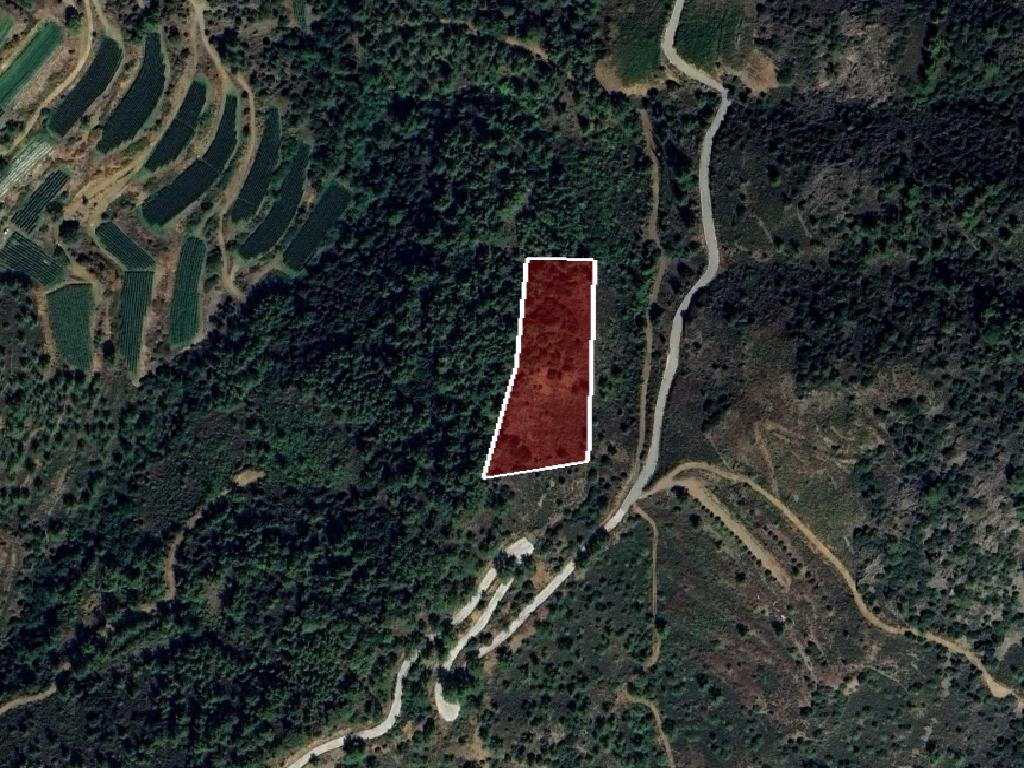 Field-Odou-PR41916