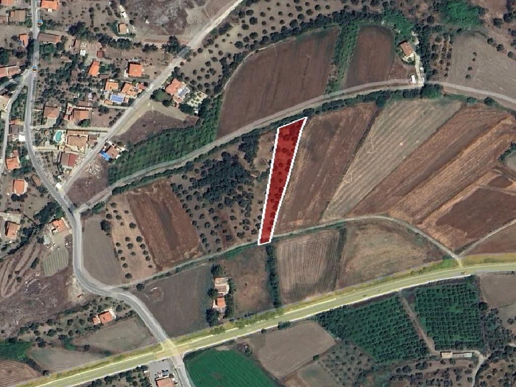 Field-Linou-PR42658