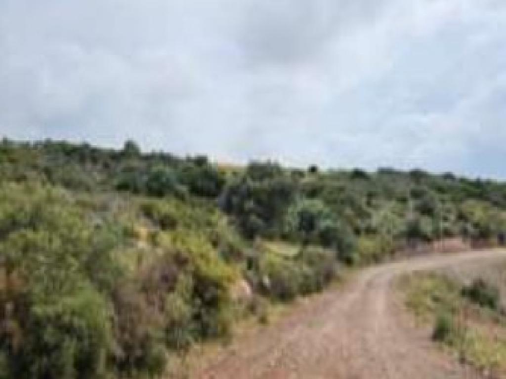 &Chi;&omega;&rho;ά&phi;&iota; - Ί&nu;&epsilon;&iota;&alpha;, &Pi;ά&phi;&omicron;&sigmaf;