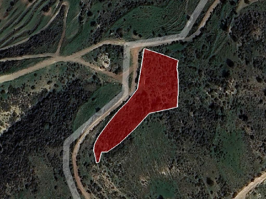 &Chi;&omega;&rho;ά&phi;&iota; - Ί&nu;&epsilon;&iota;&alpha;, &Pi;ά&phi;&omicron;&sigmaf;