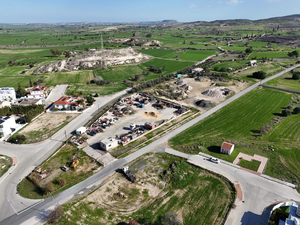 Field - Dali, Nicosia