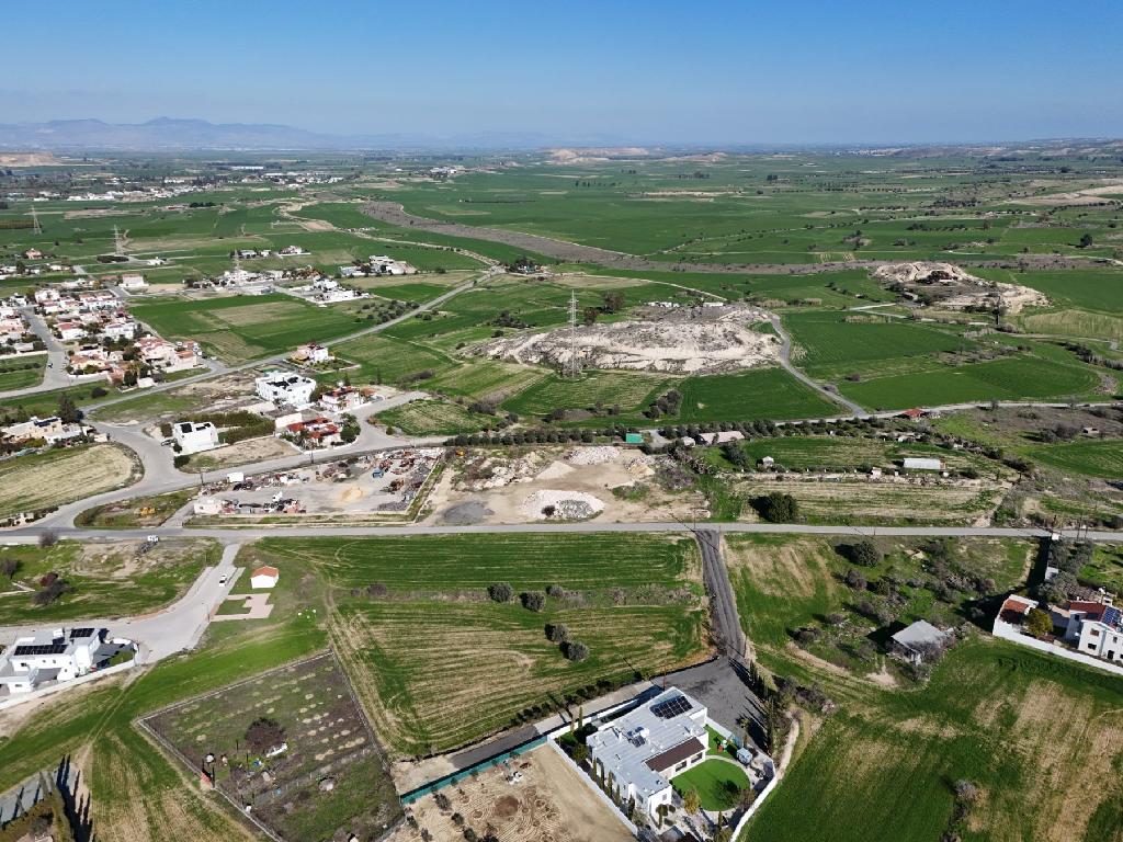 Field - Dali, Nicosia