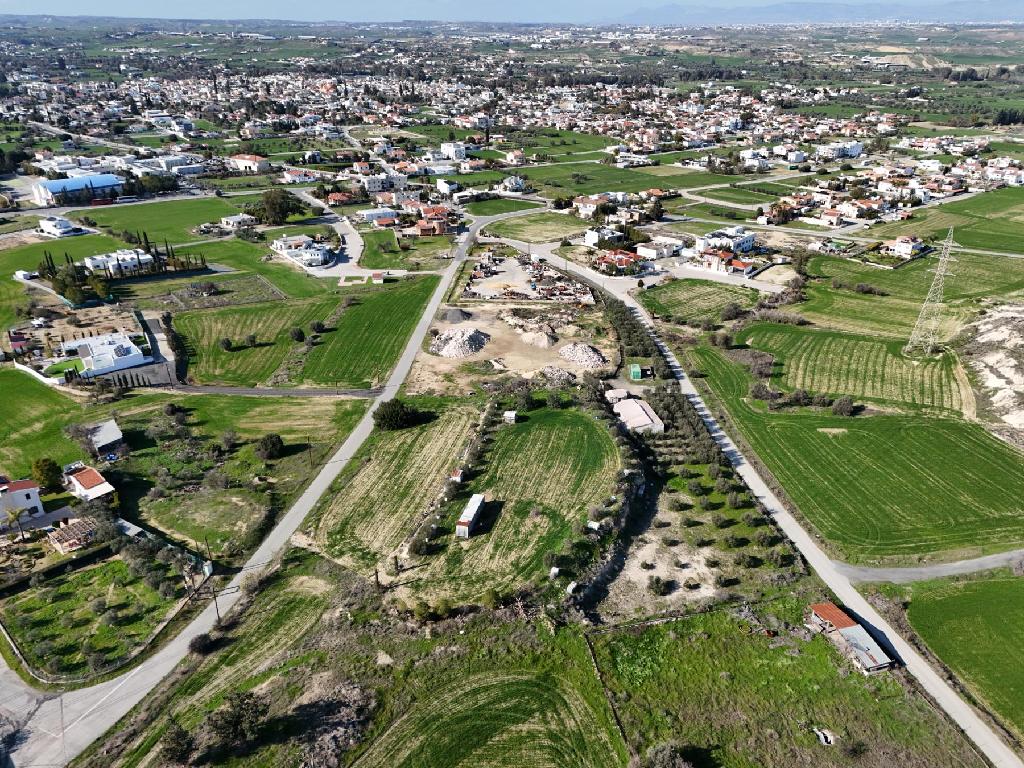 Field - Dali, Nicosia