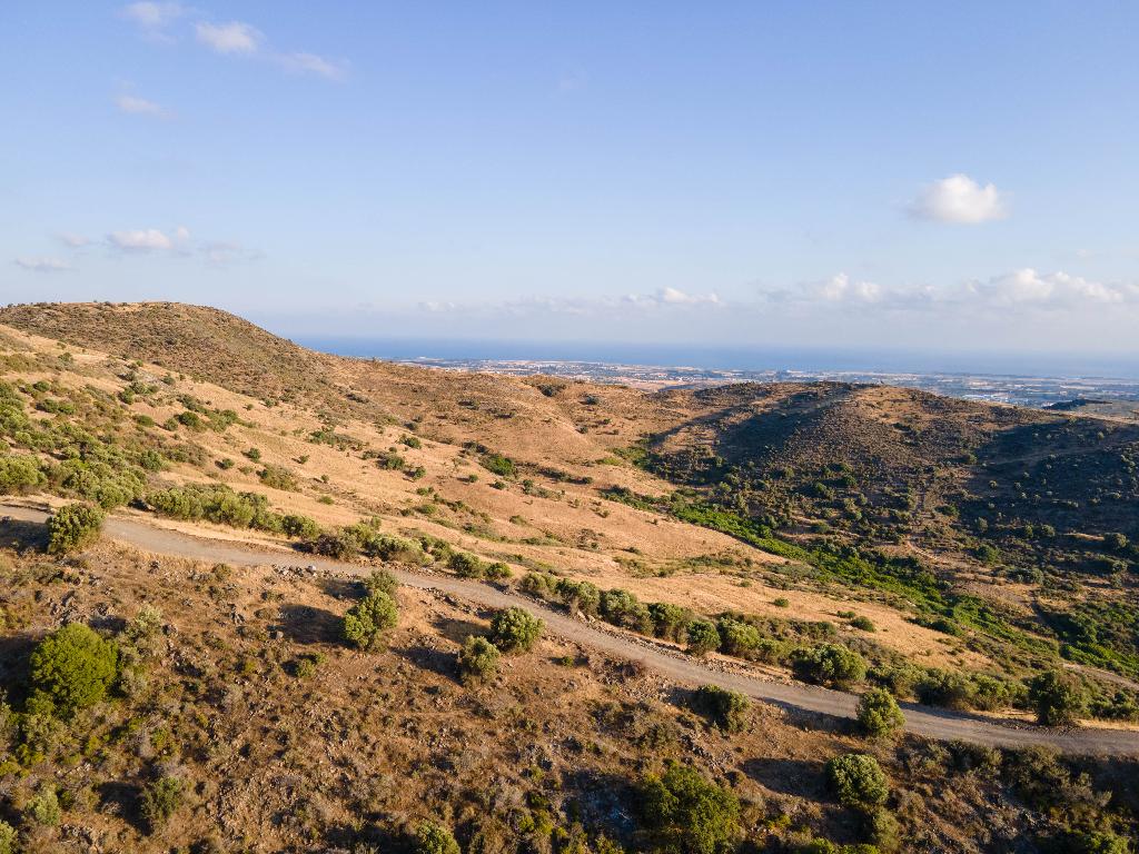 Field-Episkopi-PR11567