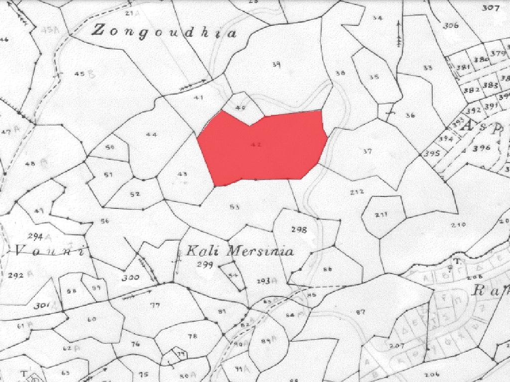 Field-Pigenia-PR12082