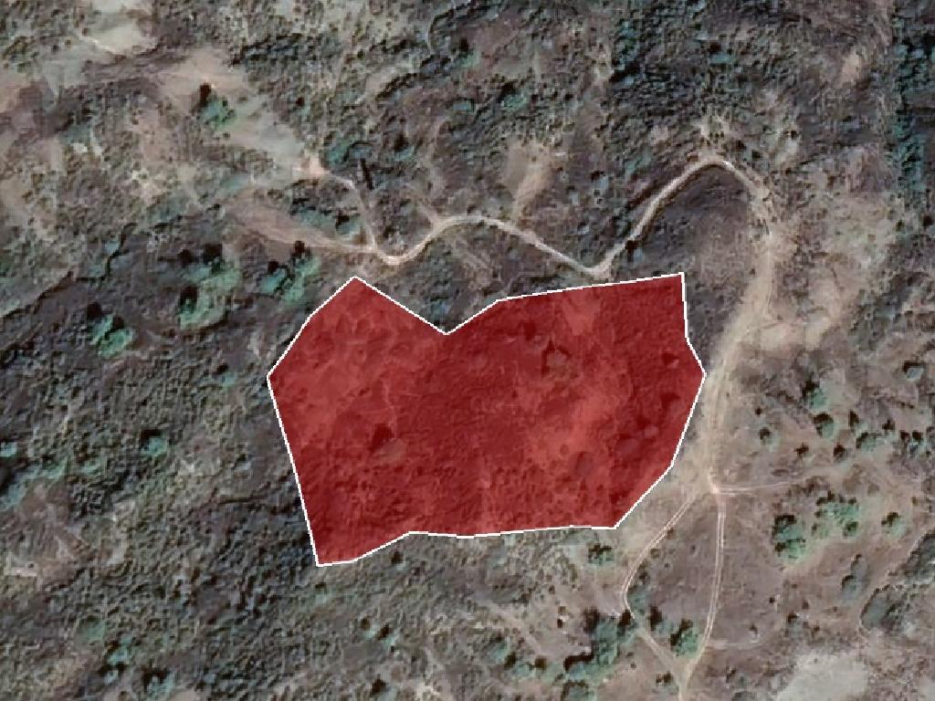 Field-Pigenia-PR12082