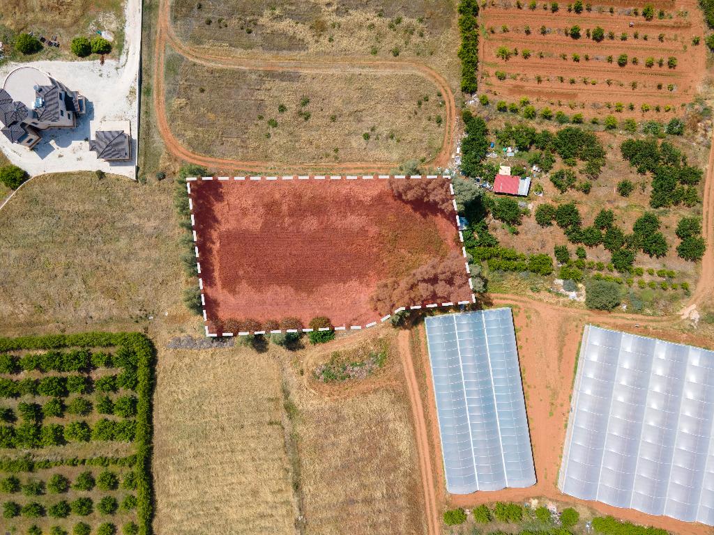 Field - Agia Marina Chrysochous, Paphos