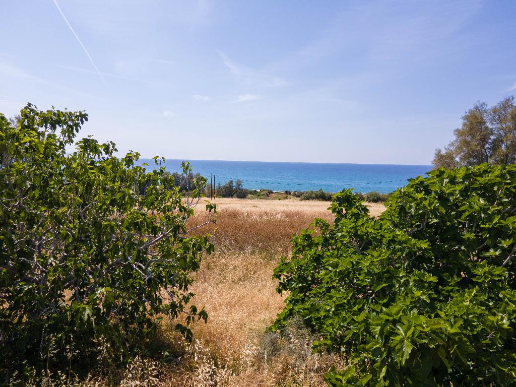 Field - Agia Marina Chrysochous, Paphos