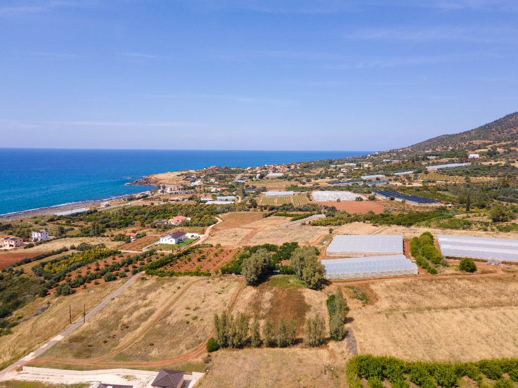 Field - Agia Marina Chrysochous, Paphos