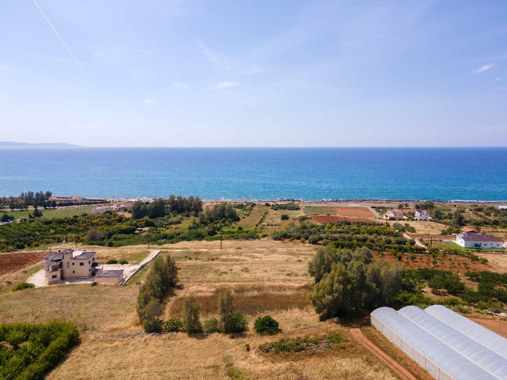 Field - Agia Marina Chrysochous, Paphos