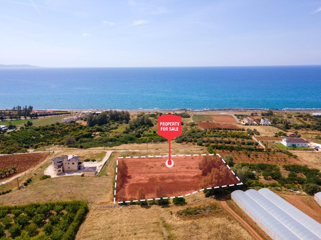 Field - Agia Marina Chrysochous, Paphos