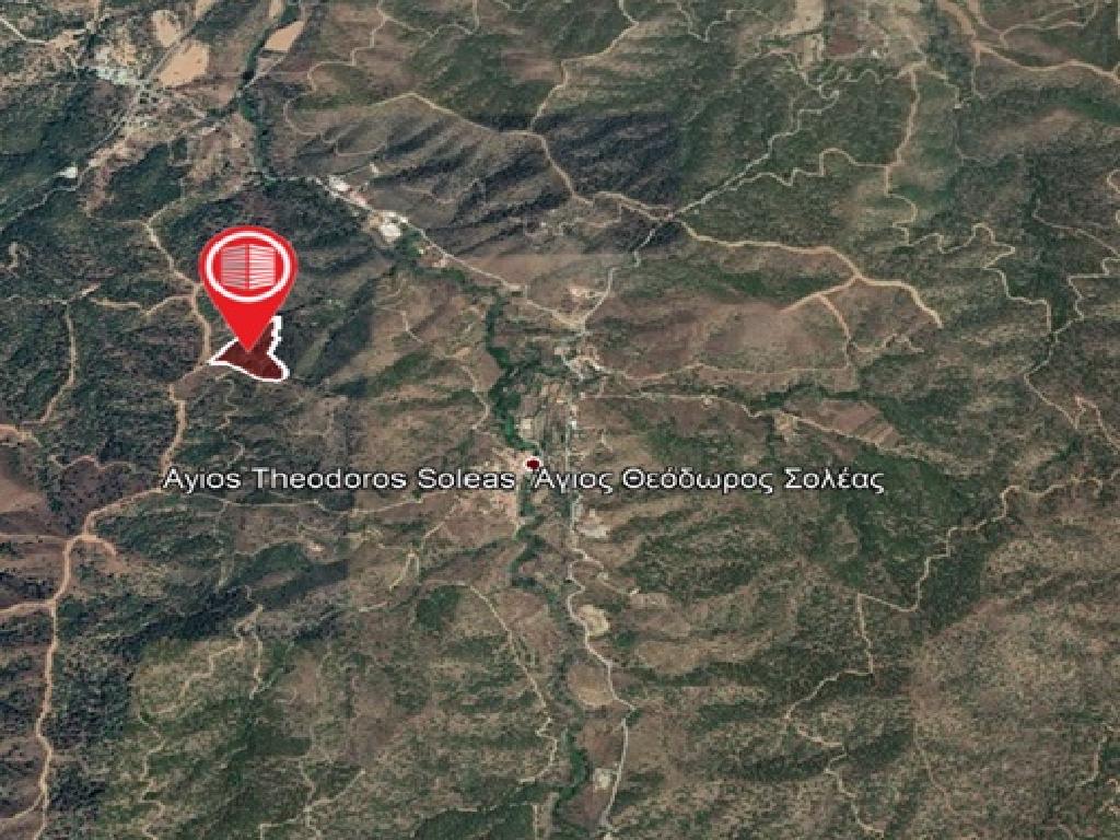 Field-Agios Theodoros (Soleas)-PR14561