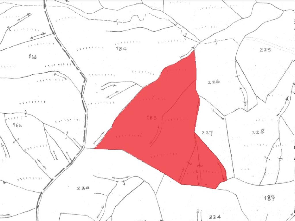 Field-Agios Theodoros (Soleas)-PR14561