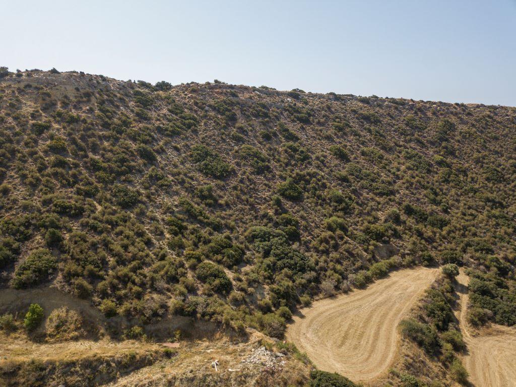 Field - Pissouri, Limassol