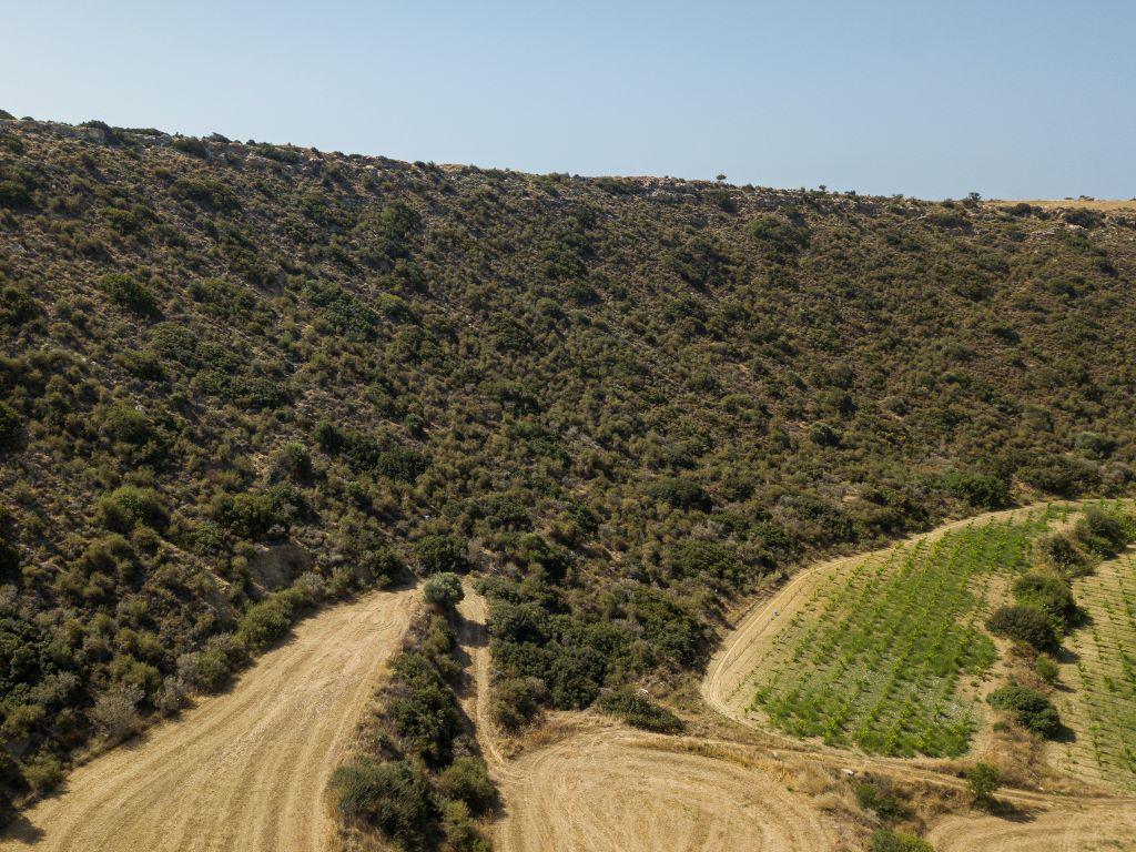 Field - Pissouri, Limassol