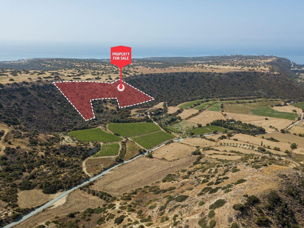 Field - Pissouri, Limassol