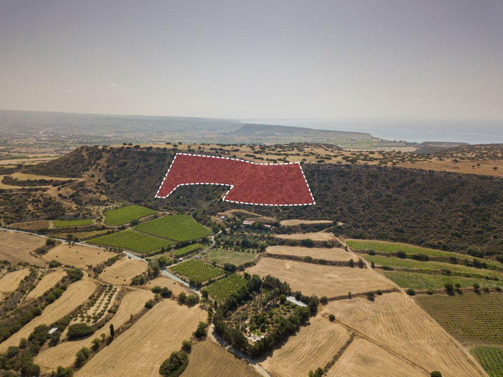 Field - Pissouri, Limassol