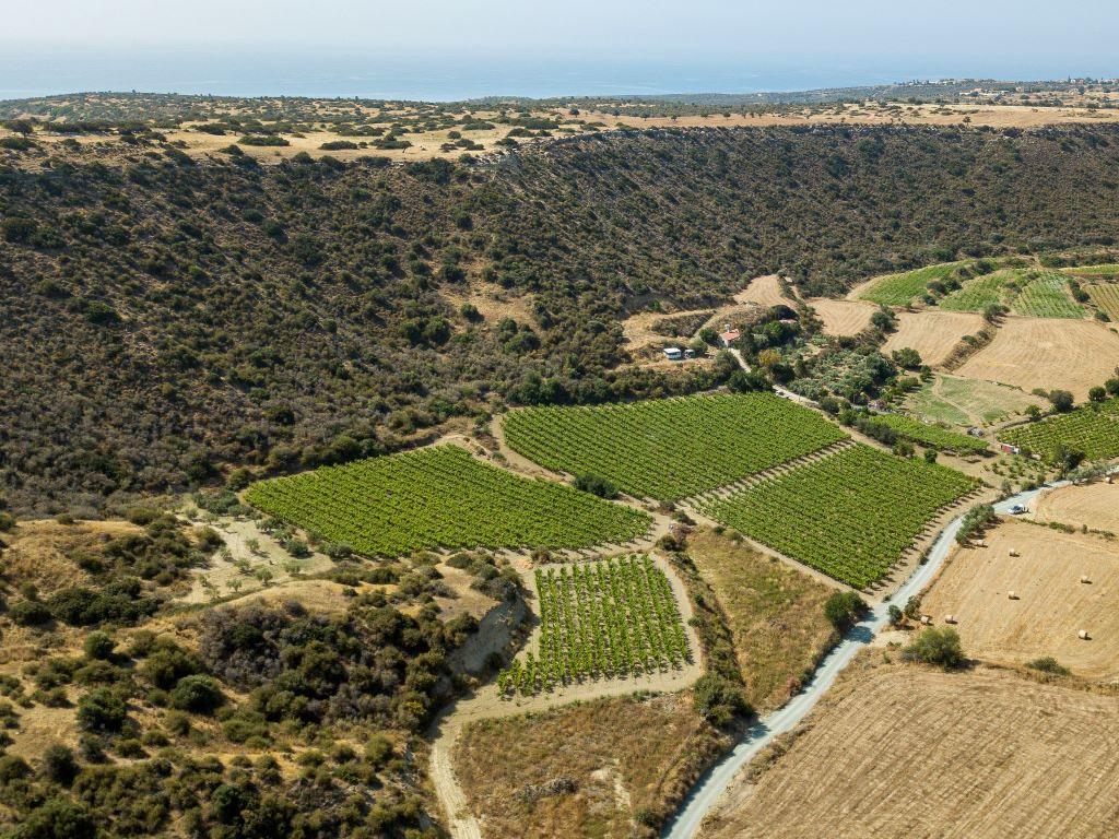 Field - Pissouri, Limassol