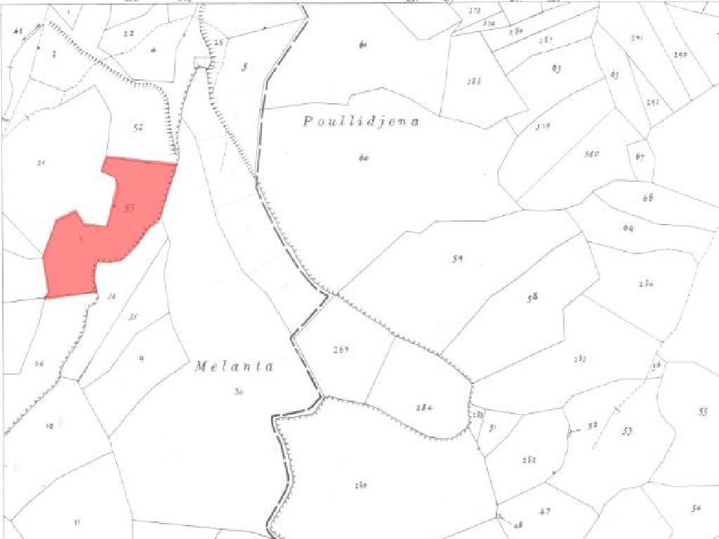 Field-Pissouri-PR14908