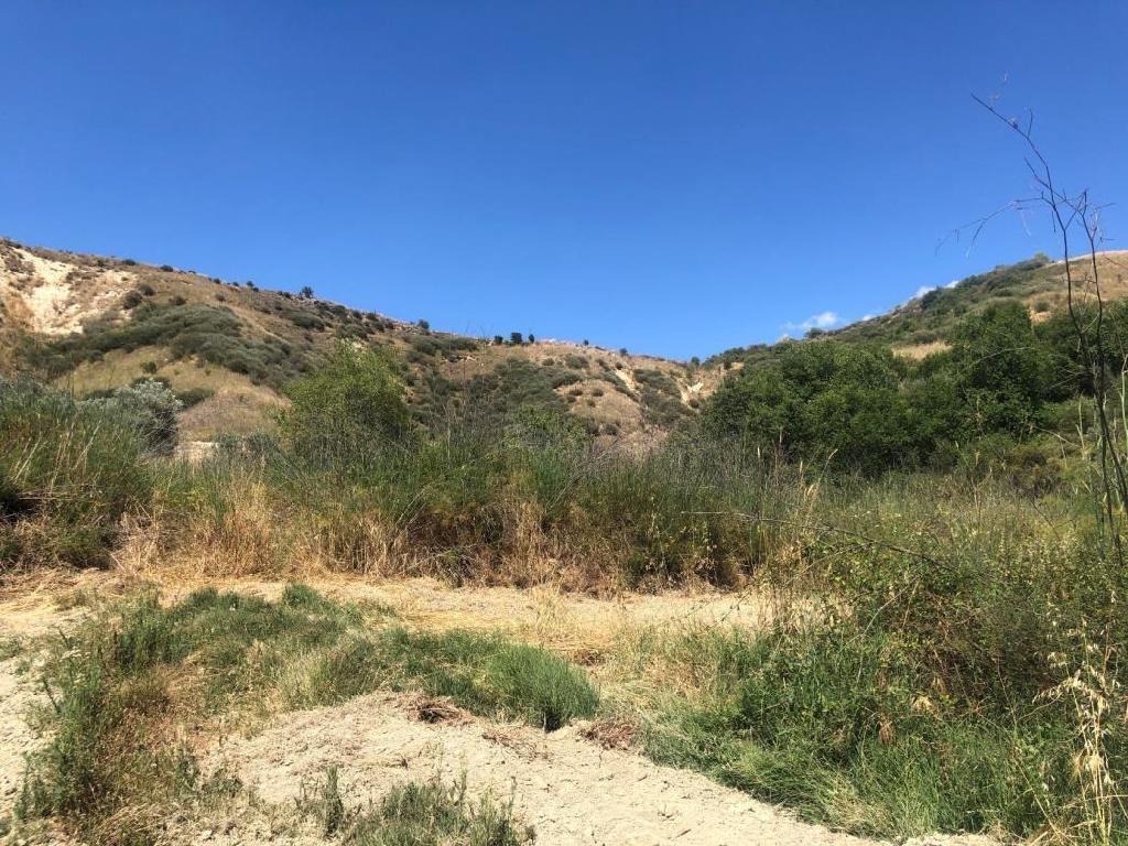 Field-Giolou-PR34472