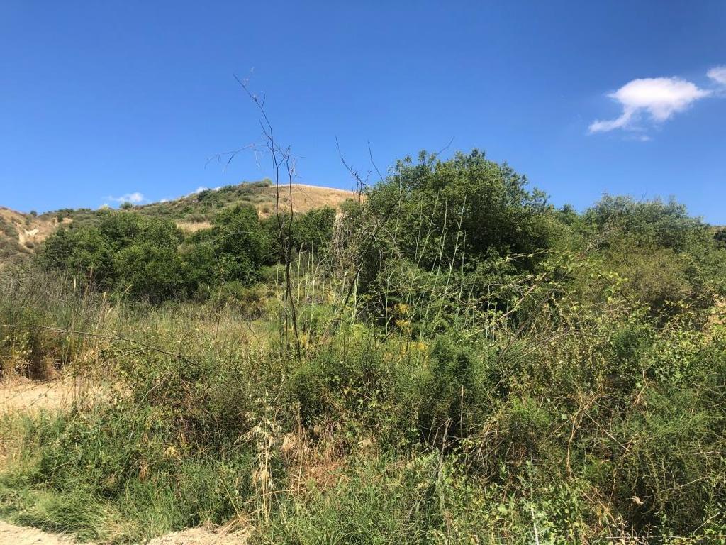 Field-Giolou-PR34472