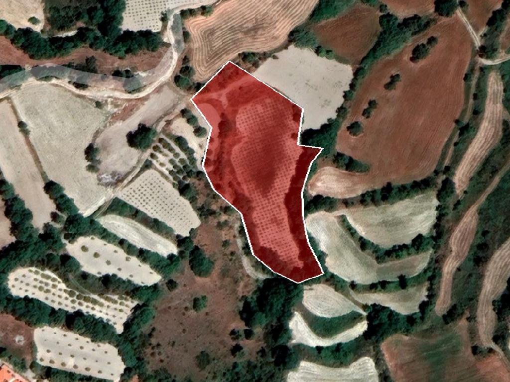 Field-Polemi-PR35113
