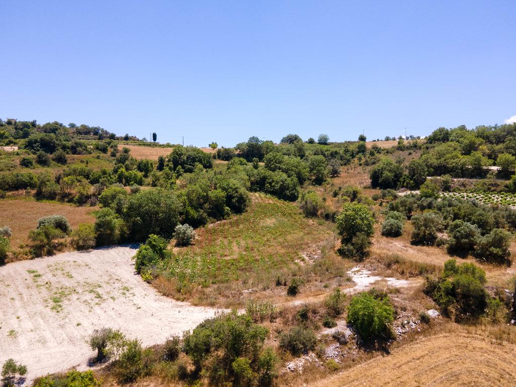 Field-Polemi-PR35113