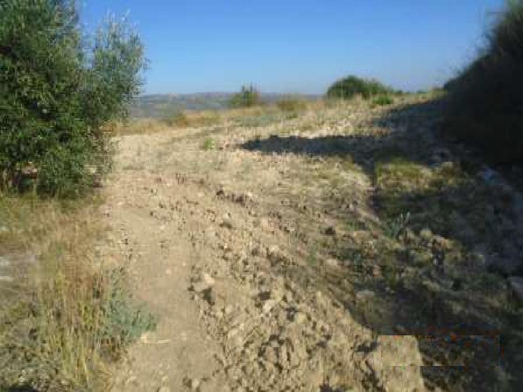 Field - Giolou, Paphos