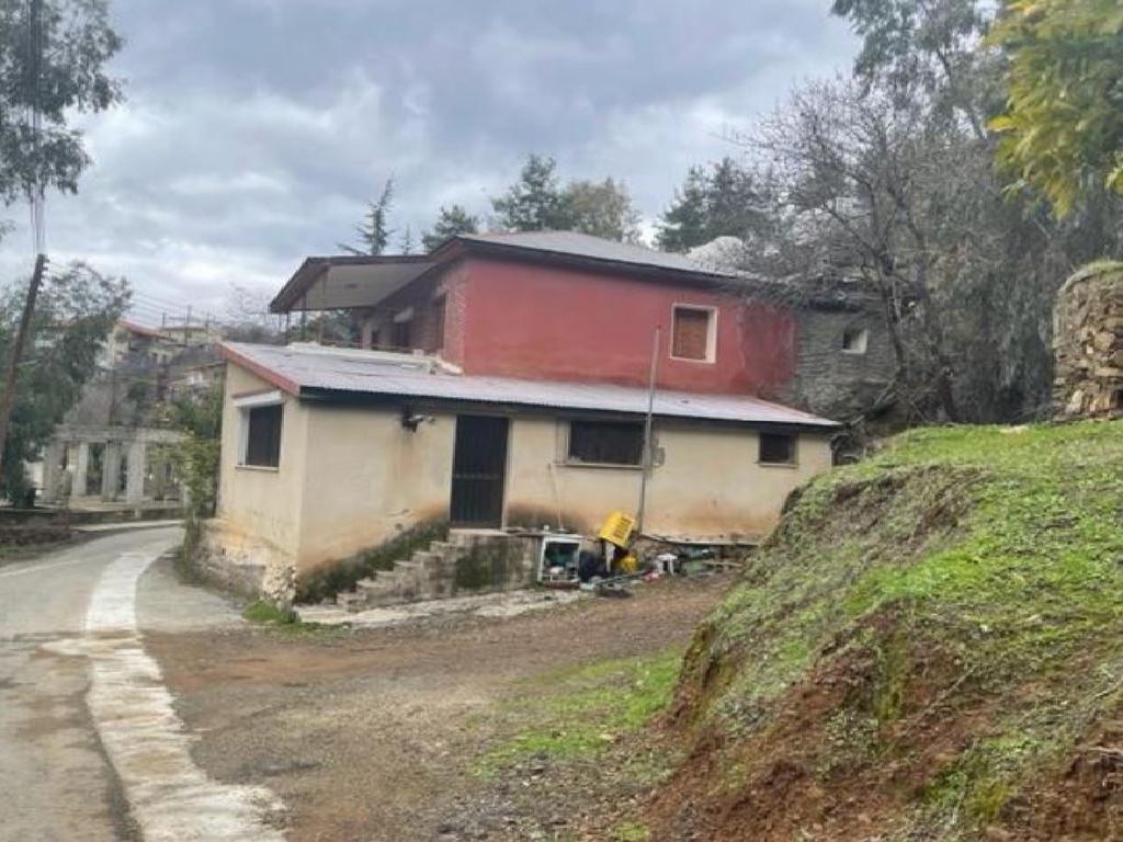 Detached house-Oikos-PR35038