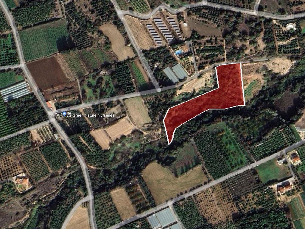Field - Kissonerga, Paphos